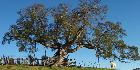 Niebo zanieczyszczone światłem