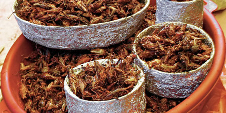 Dwóch na siedmiu ludzi jada owady. Jadłbyś?