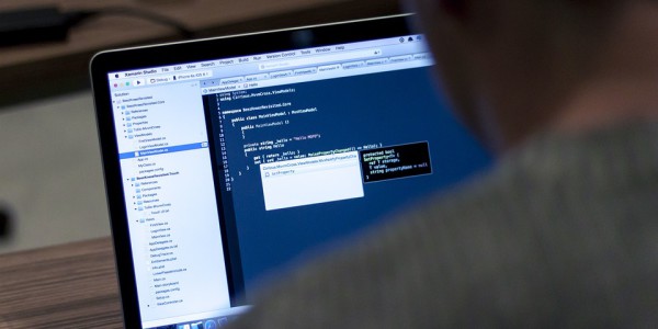 Polscy programiści wciąż bardzo w cenie