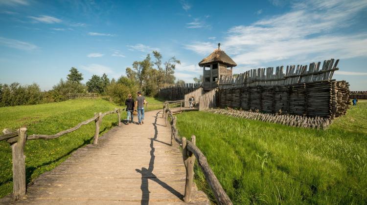 Już 85 lat od odkrycia Biksupina