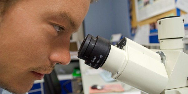 Polskie Towarzystwo Etyczne apeluje ograniczenia cierpień zwierząt laboratoryjnych