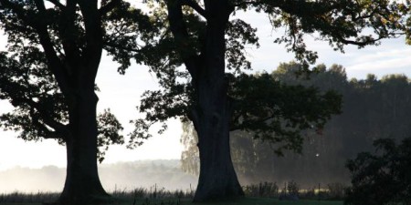 Jak starożytni patrzyli w niebo?