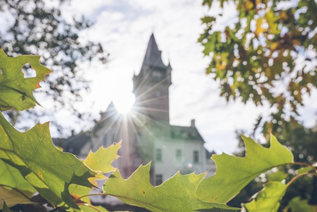 Pałac Osowa Sień: Wypocznij po królewsku