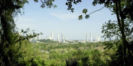 Czas ziemi – nowość na antenie BBC