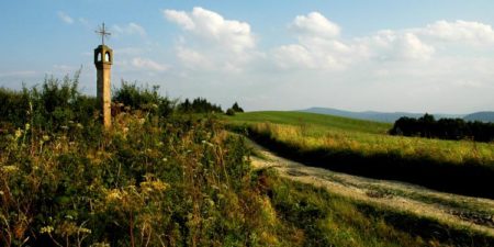 Sterty kamieni, śródpolne kapliczki – liczą się w badaniach ptaków