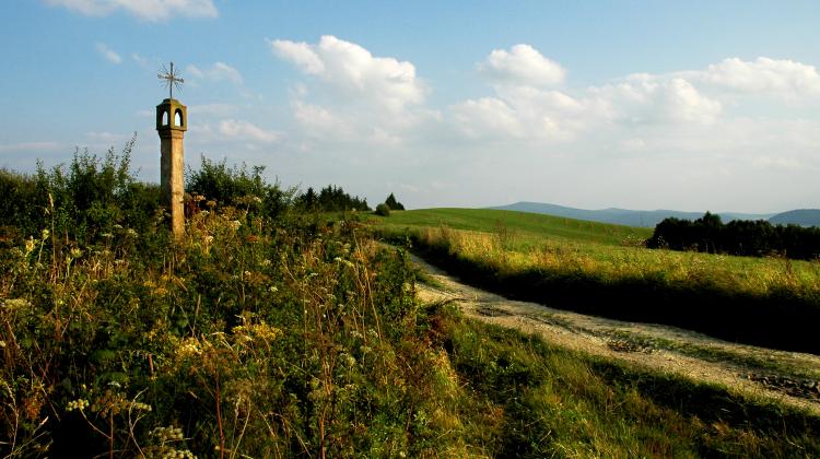 Sterty kamieni, śródpolne kapliczki – liczą się w badaniach ptaków