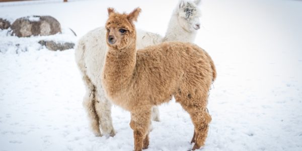 Polskie ferie nie muszą być w górach